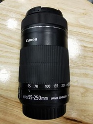 canon 55-250mm STM EF S 55-250