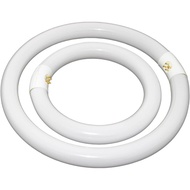Set Mentol Lampu Bulat FC12T9-DL dan FC8T9-DL Lampu Pendarfluor Siang, Circline 6500K 12 inci T9 32W