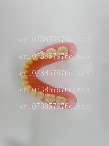 Full Senior Teeth Full Teeth Model Display Supplies Full Dentures Removable Dentures Prosthodontics 