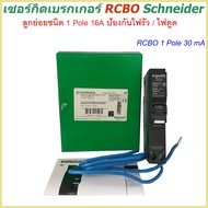เซอร์กิตเบรกเกอร์ RCBO 1 Pole 10A-50A 30mA ป้องกันไฟรั่ว/ไฟดูด Schneider Circuit Breaker Earth leaka
