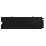 ACER Predator GM7000 Heatsink 2TB M.2 NVMe 固態硬碟 (PCIe Gen4)(HD-AGM7H2T)