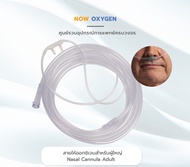 สายให้ออกซิเจนทางจมูก Nasal Oxygen Cannula สำหรับผู้ใหญ่ 2.1 เมตร