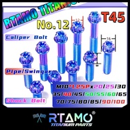 RTAMO Titanium Gr5 16D M10x20-100L 1.25P Double Gear Head Fit Swingarm Bolt Pipe Bolt Caliper Bolt