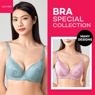 ✨ Flash Deal ✨ Sorella Bra Special Collection✨