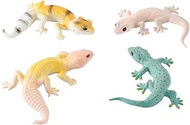 Enwye 4 Gecko models (including 2 sizes) can be used for educational purposes, arouse interest in an