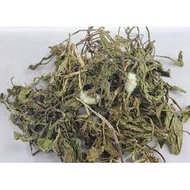蒲公英 Dandelion Leaves 100g+-