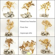 [100gram] Decorative tree branches Driftwood Aquarium Setup aquascape plant landscape freshwater fish pokok hiasan kayu