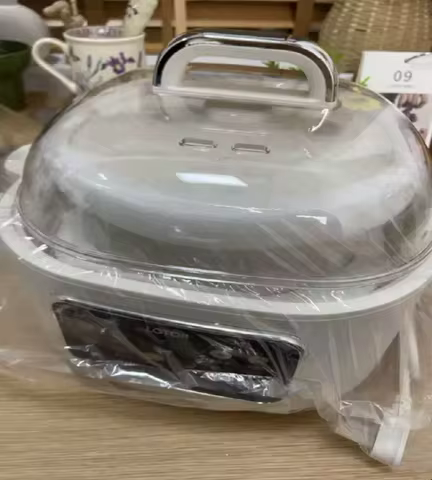 220V lotor Electric Steamer Ceramic Slow Cooker Automatic Soup Pot for Home Use DW