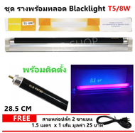 ✨ซื้อ6 ชุด ลด 60.-✨ รางพร้อมหลอด แบล็คไลท์ T5 8W 220V ขนาด 28.5CM พร้อมอุปกรณ์ยึดผนัง หลอดดักยุง สี