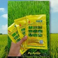 Loyant china (keladi agas) tidak kacau padi