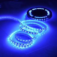 ไฟเส้น LED 5050 ip65 12V ขนาด 5M ใช้งานภายใน สีขาว สีน้ำเงิน สีแดง (ไม่มีรีโมท อะแดปเตอร์)