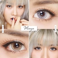 คอนแทคเลนส์ สายฝอ.รุ่น MAYA สีเทา/ตาล gray/brown มีค่าสายตา (0.00)-(-6.00)