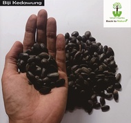 Biji Kedawung Kering - Biji Kedaung 1 Kg / 500 Gram