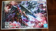 HG 1/144 MS-06R Zaku II High Mobility Type Psycho Zaku 雷霆高達 精神渣古 Gundam Thunderbolt Ver.