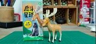 戽斗星球-台灣限定款-台灣梅花鹿