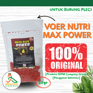 Nutri Max Power 50g Voer Pleci Premium Pakan Burung Pleci Biar Gacor & Ngerol Panjang
