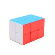 CuberSpeed 2x2x3 stickerless Cuboid Cube 223 Magic Cube Tower Shaped Magic Cube