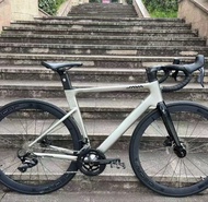 Java魚雷6 TOP UCI認證 快走$2500