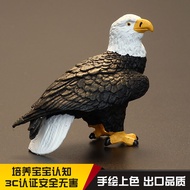 Plaything House Simulation Animal Model Animal Toys Birds Birds Eagles White-Headed Eagles White-Hea