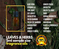 5ML LEAVES &amp; HERBS FRAGRANCE OIL SAMPLE SIZE  ALOE VERA  CITRONELLA  COOL MINT  CUT GRASS  EUCALYPTUS  FRESH BAMBOO  FRESH CUT BAMBOO  GARDEN MIST  GINGER  GINGER FLOWER  GINGER PEACH  GREEN TEA  GREEN TEA MINT  HADE  HERBAL AROMATIC  LEMONGRASS  MARJORAM