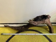 魚缸天然沉木60cm