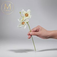 【Floral M】初戀少女白色波斯菊仿真花花材 （3入組）
