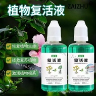 LOCAL Planting Gardening Universal Plant Flower Revival Solution Liquid Plants fertilizer /  Premium