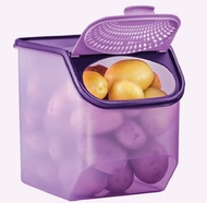 tupperware garlic keeper purple 5.5L