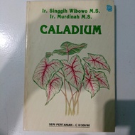 Buku CALADIUM