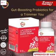 Revitalize Body & Mind with GKB L. Plantarum GKM3 - Weight Loss & Probiotic Supplement [PHARMACY STO