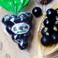 Kyoho Jelly Grape Shine Muscat Japan Japan Fuji Mountain Souvenirs