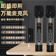 [Premium] Premium Home ktv Stage Professional Microphone One for Two Singing Outdoor Live Sound Card