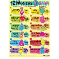 Poster 12 MONTHS/ 3 Languages Thai-Chinese-English EP-445 Plastic Learning Media