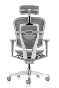 【熱銷免運】🔥Ergohuman111 2.0🔥雄鷹版二代白框版⭕一年保固⭕網椅 辦公椅 電腦椅 人體工學椅 電競椅