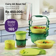 carry all bowl Tupperware