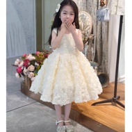 (Large Form) luxurious 3D rose princess dress for babies