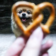 Gluten-Free Beef Pumpkin Pretzels Cookies for Pets | Dogs | Cats