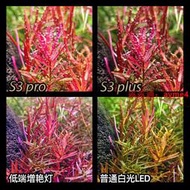 快速出貨尼奧S3plus水草燈小魚缸燈led尼奧RGB魚缸燈爆藻燈草缸燈夾燈
