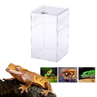 Neko Insect Feeding Box 12x12x20cm Acrylic Transparent Breeding Case for Spider Lizard Centipede Hor