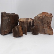 Batu Fosil kayu | hardscape | aquascape aquarium - 1kg