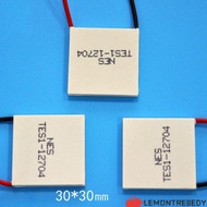 LEMONTRE8EDY Semiconductor Cooling Sheet, 30x30mm 40x40mm Refrigeration Plate,  5 Styles 15x30mm TES