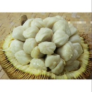 Pokok buah tarap ( ank pokok)