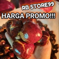 jengkol tua mentah pulen super kemasan berat 1kg