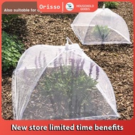 Orisso 1pc White Mesh Food Cover Anti-Fly Vegetable Cover Foldable Mesh Screen