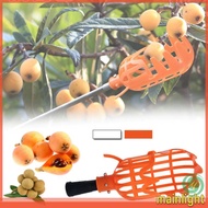 Garden Fruit Picker Tool EPOCH A47