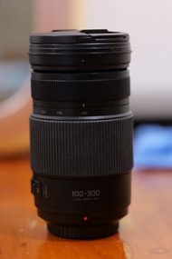 Panasonic Lumix G Vario 100-300mm F4.0-5.6 II