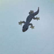 Fake Gecko Scary Cat Toy Kitten