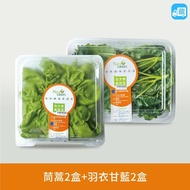 【NICE GREEn】 鍋物搭檔組：茼蒿盒 2 入、羽衣甘藍盒 2 入