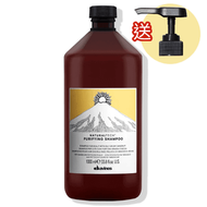 davines - (大支裝) Davines Naturaltech Purifying 去頭皮頭瘡洗頭水 / 純淨去頭皮頭瘡洗頭水 1000ml [平行進口] (附送泵頭)