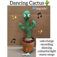 VVM: DANCING CACTUS🌵dancing plant toys pokok mainan menari